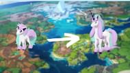 Ponyta/Rapidash